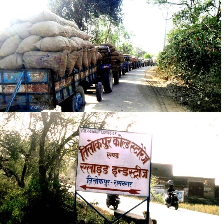 शीत गृह में आलू भंडारण का काम हुआ शुरू