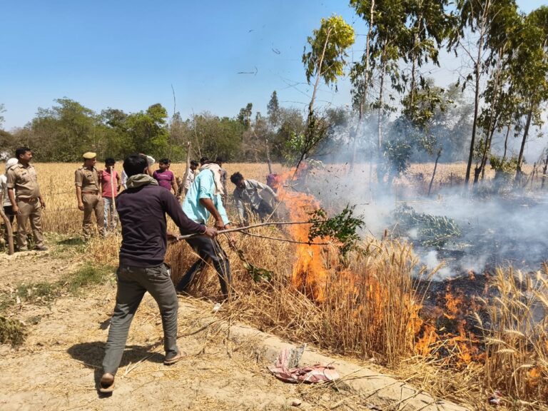 खुर्दमऊ गांव में आग लगने से करीब तीस बीघे गेहूं की फसल जलकर हुई खाक