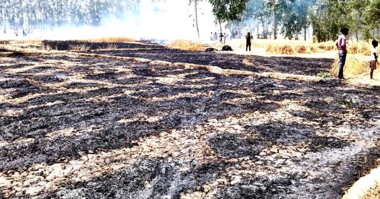 अज्ञात कारणों से लगी आग में 06 बीघा गेहूं की फसल जलकर हुई खाक