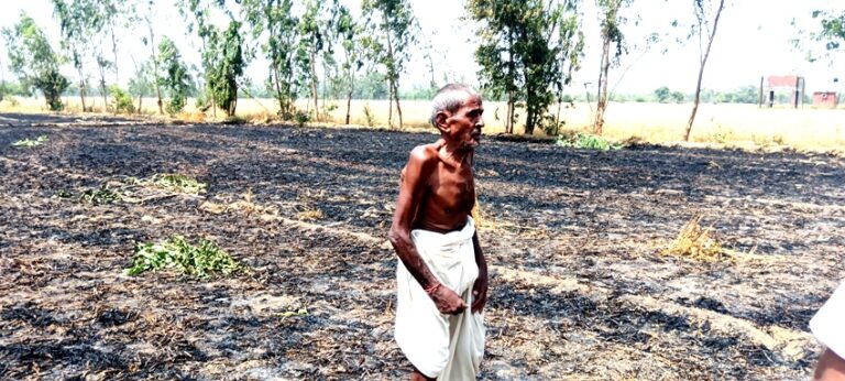 बिजली की चिंगारी से लगी आग गेहूं की फसल जलकर राख