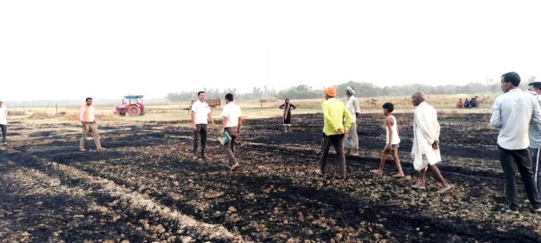 गेहूं के खेत में लगी आग, तीन बीघा तैयार फसल जलकर हुई खाक