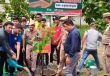 जिला शामली वन विभाग ने कसी कमर,वन महोत्सव में लगवाएगा 13 लाख से अधिक पेड़