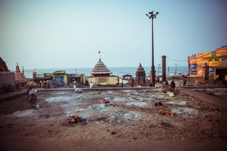 समुद्र मार्जन और वटवृक्ष की पूजा