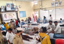 करुणा प्रेम और सह-अस्तित्व का सजीव उत्सव – मानव एकता दिवस
