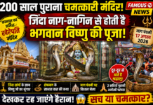 Kherepati Temple Kanpur: 200 साल पुराने खेरेपति मंदिर का रहस्य, जहां जिंदा नाग-नागिनों के साथ होती है भगवान विष्णु की पूजा
