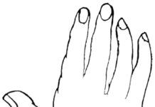 PALMISTRY BY PM’s PEN PHILOSOPHIC HANDS