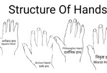 PALMISTRY BY PM’s PENPREDICTIONS ABOUT STRUCTURE OF HAND