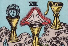 PM KE PEN SE TAROT CARD READING भाग 81 टैरो कार्ड- सेवन ऑफ कप्स Tarot Card- Seven Of Cups